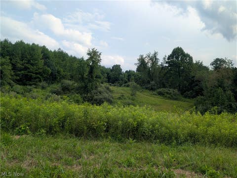 Tiny photo for 0 Tract B Brownrigg Road, Caldwell, OH 43724 (MLS # 5228767)