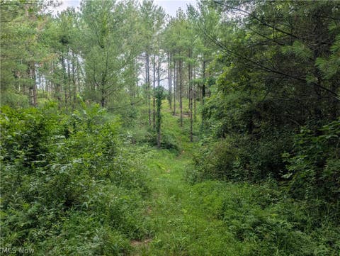Tiny photo for 0 Tract B Brownrigg Road, Caldwell, OH 43724 (MLS # 5228767)
