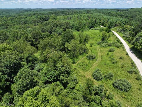 Photo of 0 Tract B Brownrigg Road, Caldwell, OH 43724 (MLS # 5228767)