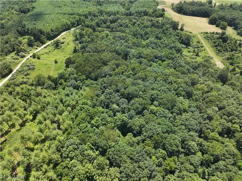 Tiny photo for 0 Tract B Brownrigg Road, Caldwell, OH 43724 (MLS # 5228767)