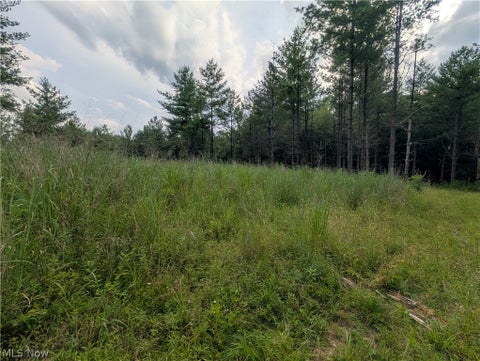 Tiny photo for 0 Tract B Brownrigg Road, Caldwell, OH 43724 (MLS # 5228767)