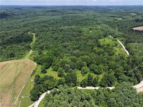 Tiny photo for 0 Tract B Brownrigg Road, Caldwell, OH 43724 (MLS # 5228767)