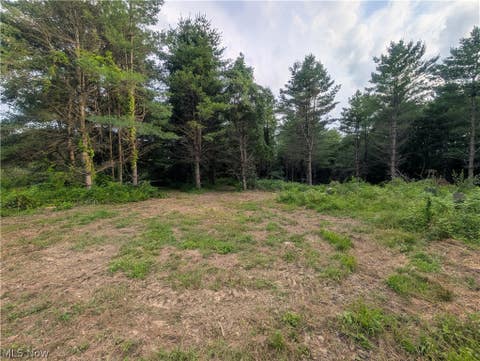 Tiny photo for 0 Tract B Brownrigg Road, Caldwell, OH 43724 (MLS # 5228767)