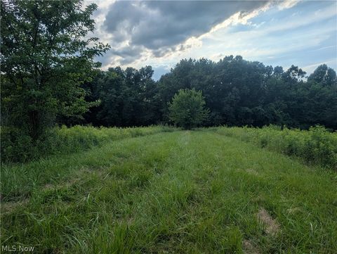 Tiny photo for 0 Tract B Brownrigg Road, Caldwell, OH 43724 (MLS # 5228767)