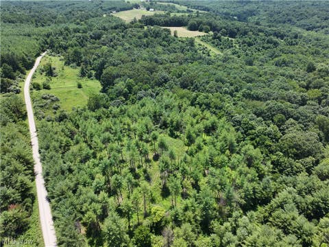Tiny photo for 0 Tract B Brownrigg Road, Caldwell, OH 43724 (MLS # 5228767)