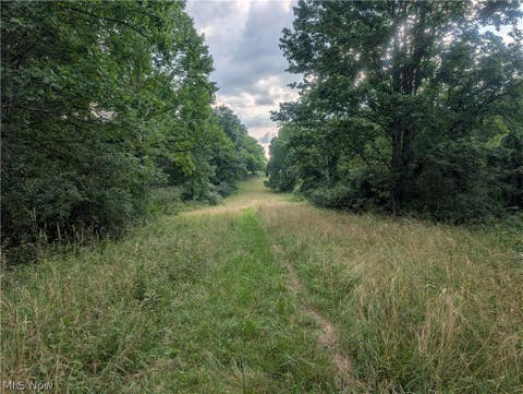 Tiny photo for 0 Tract B Brownrigg Road, Caldwell, OH 43724 (MLS # 5228767)
