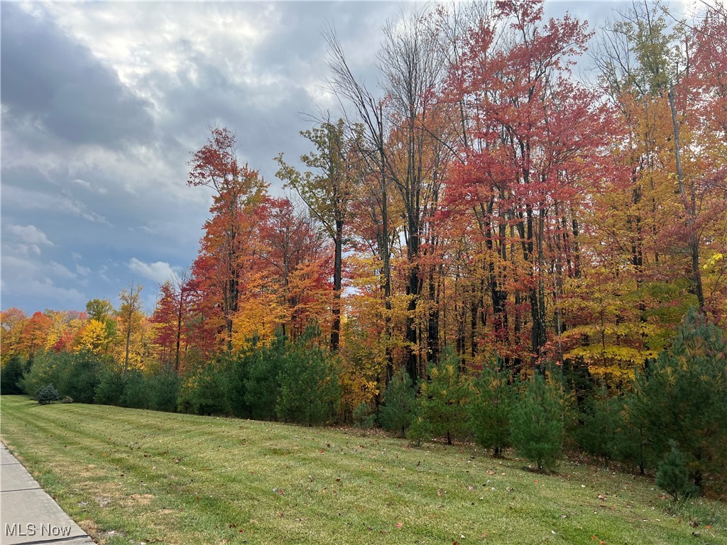 1166 River Valley Trail, Hinckley, Ohio image 8