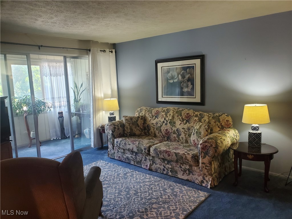 Silver Lake Towers Condo - Residential