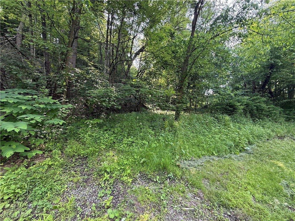 14785 S Egypt Road, Salem, Ohio image 3