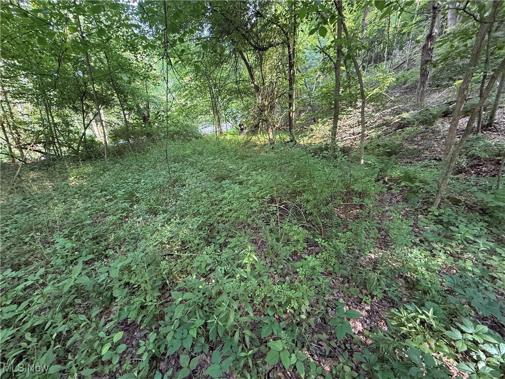 14785 S Egypt Road, Salem, Ohio image 1