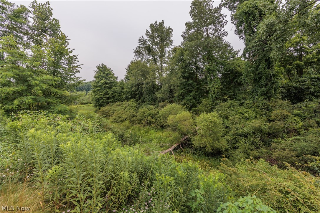 Creekside/Pleasant Lakes Condo - Residential