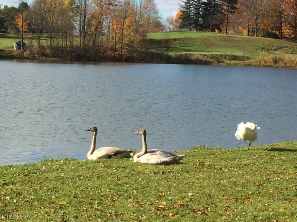 Rustic Hills - Residential
