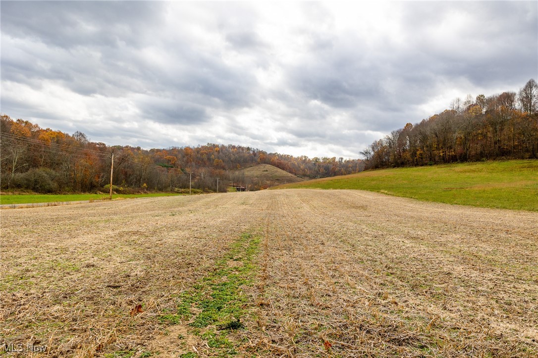 17270 Kedigh Hollow Road, Newcomerstown, Ohio image 4