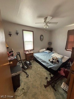 5806 Risher Road, Leavittsburg, Ohio image 13