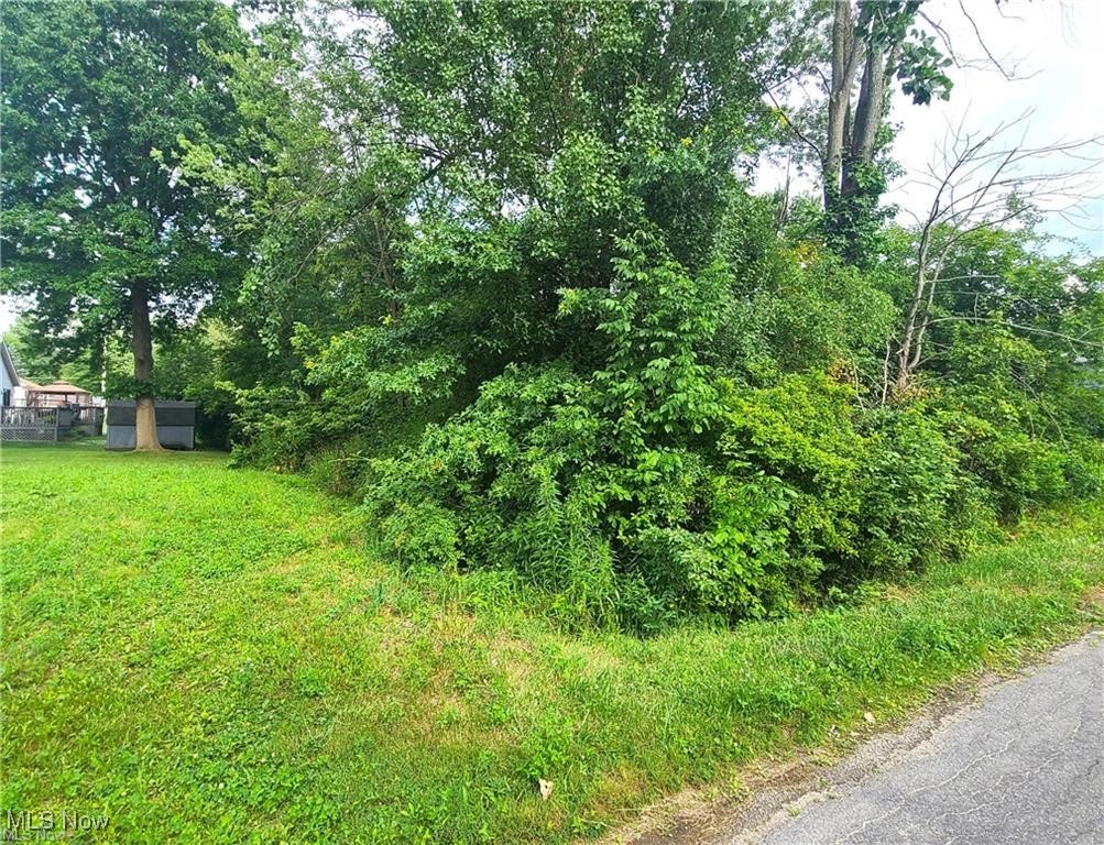 Springfield Mogadore - Land