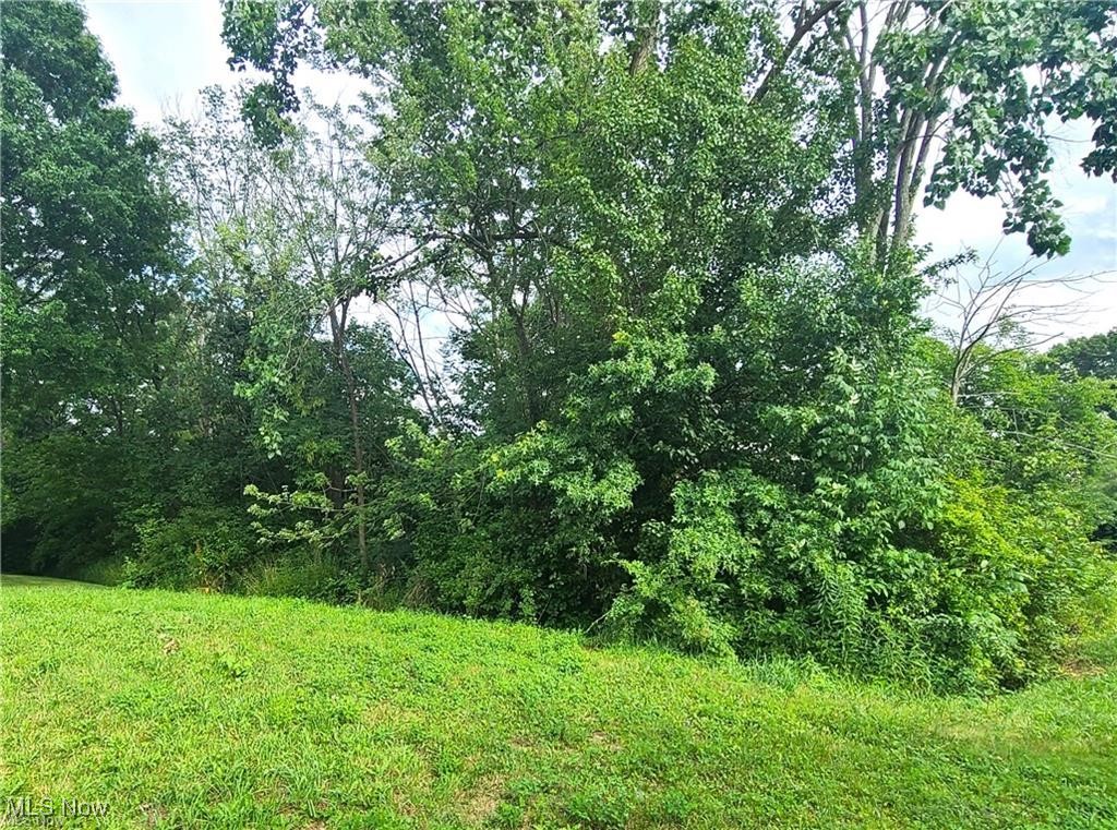 Springfield Mogadore - Land