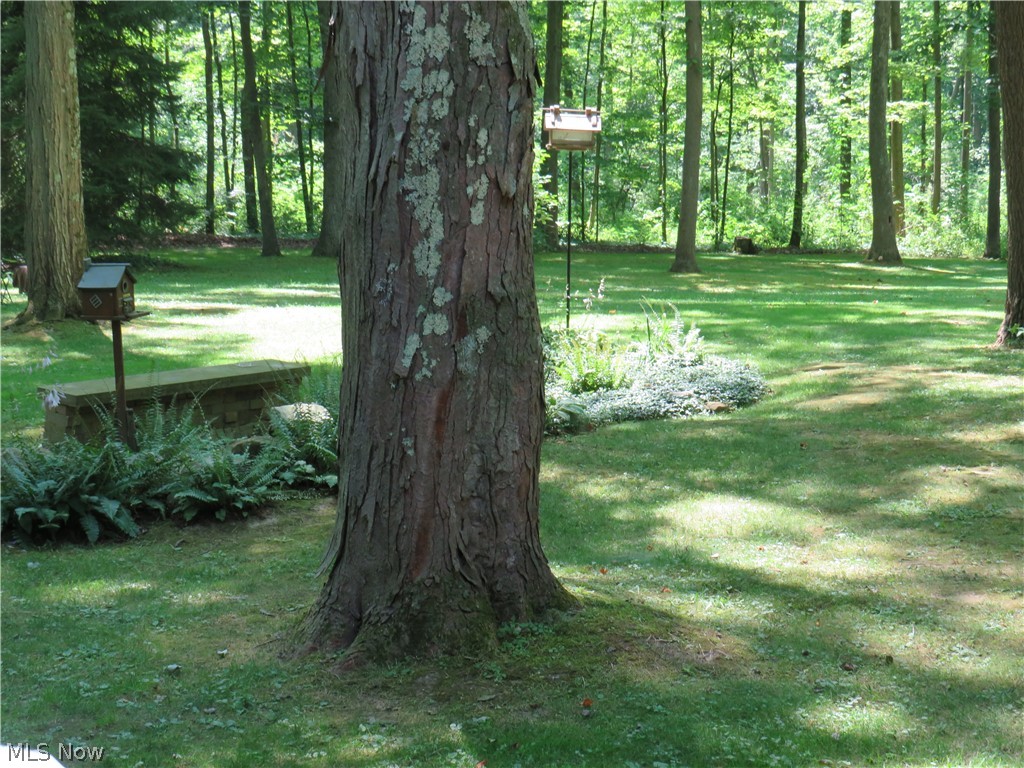 Nelson - Residential