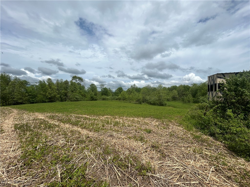 67655 Geese Road, Cambridge, Ohio image 7