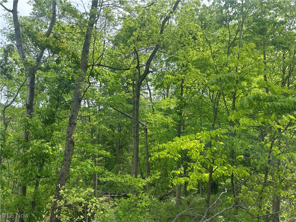 67655 Geese Road, Cambridge, Ohio image 3