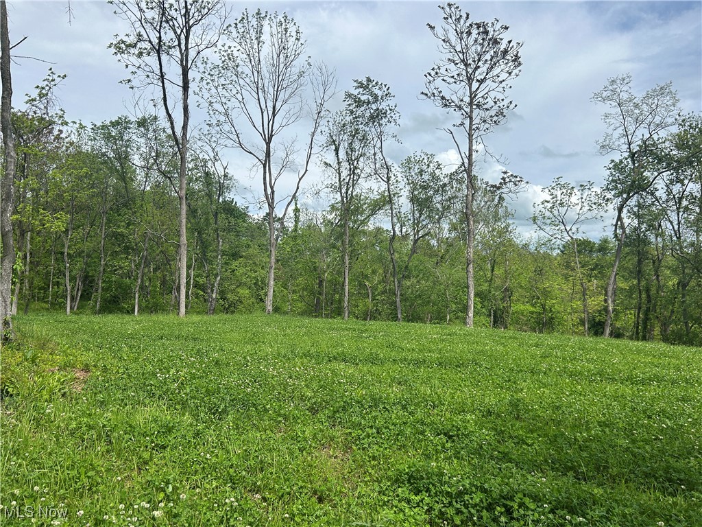 67655 Geese Road, Cambridge, Ohio image 8