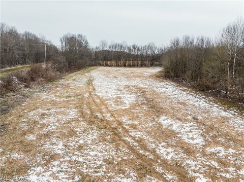 Vacant Land For Sale - Raiders Road<br/> Dresden, OH 43821