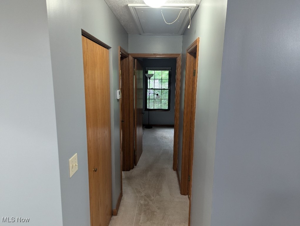 Mill Creek Woods Condo - Residential
