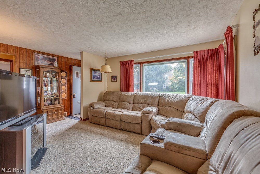 Garfield Drive Allotment - Residential