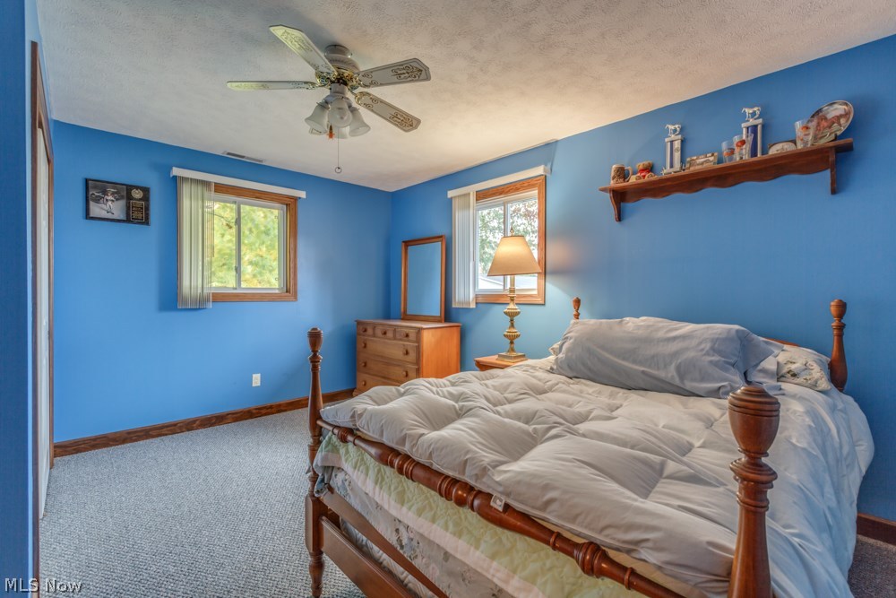 Garfield Drive Allotment - Residential