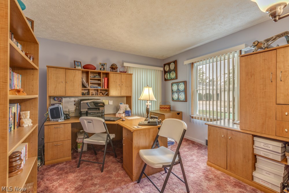 Garfield Drive Allotment - Residential