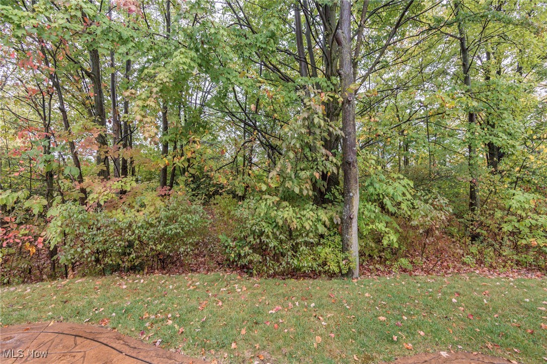 Arbors Of Bridgewater Crossing Sub Ph 3 - Residential