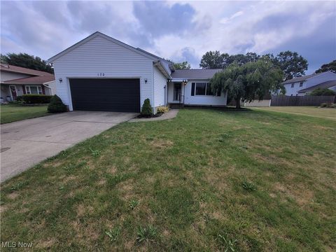 172 Xavier Street, Elyria, OH 44035 - #: 5142352