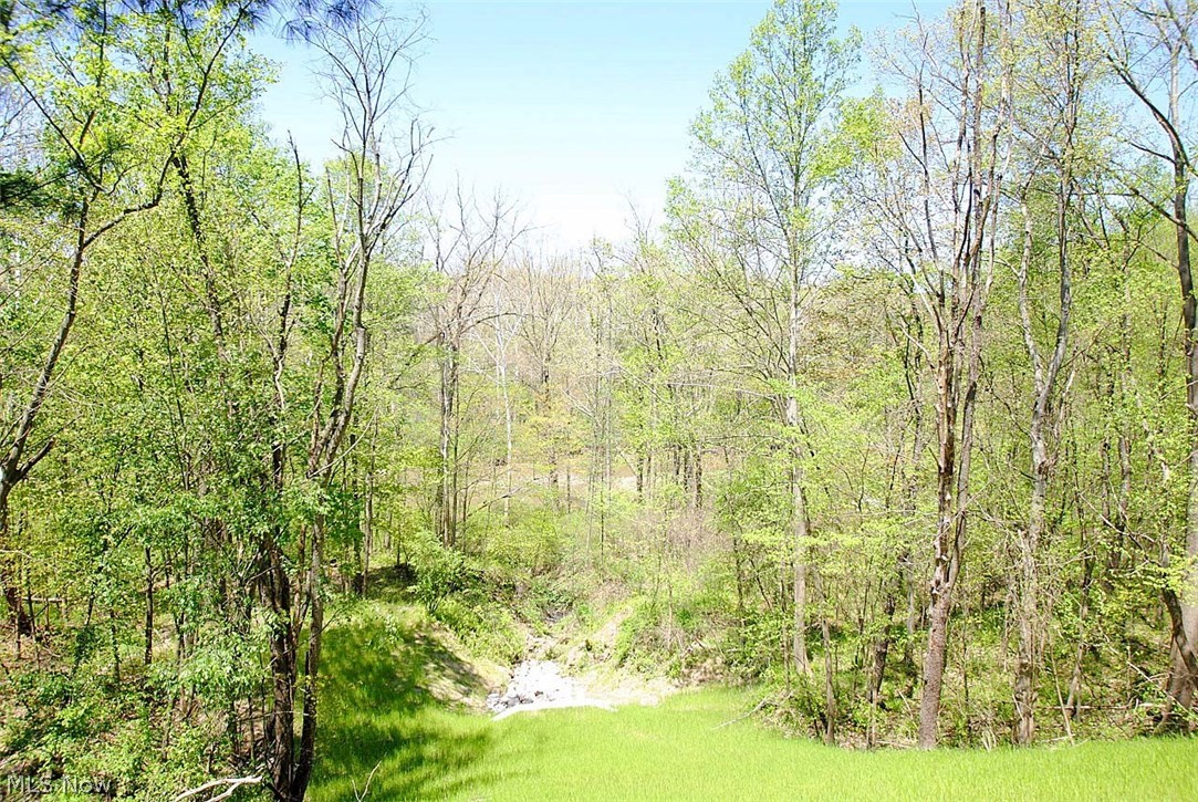 Greentree Road - Residential