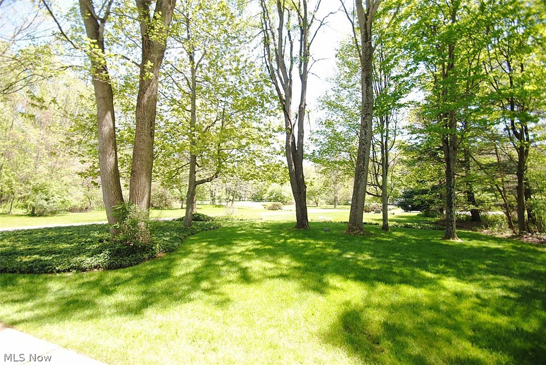 Greentree Road - Residential