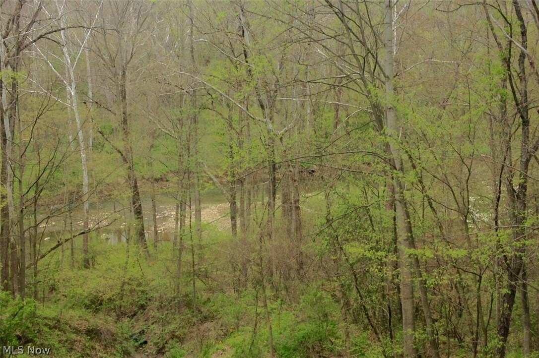 Greentree Road - Residential