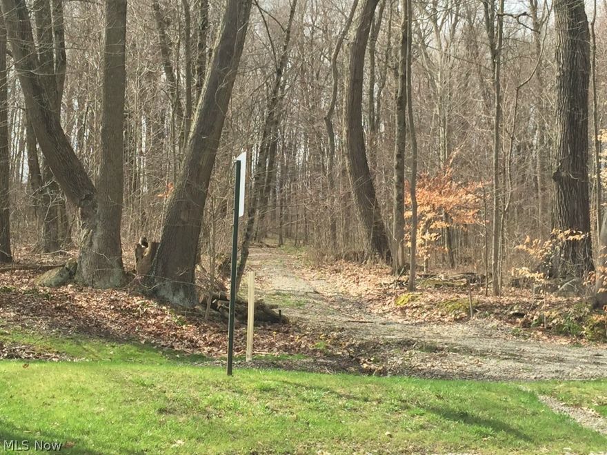 3 acre building site located in the private Honey Run Village. This lot provides a wooded hilltop setting with easy accessibility to Millersburg & Berlin. Will need well & septic.