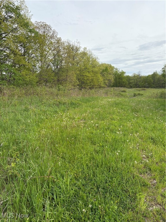 Connecticut Western Reserve - Land