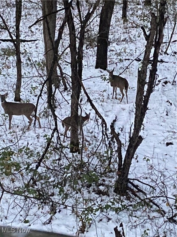 Connecticut Western Reserve - Land