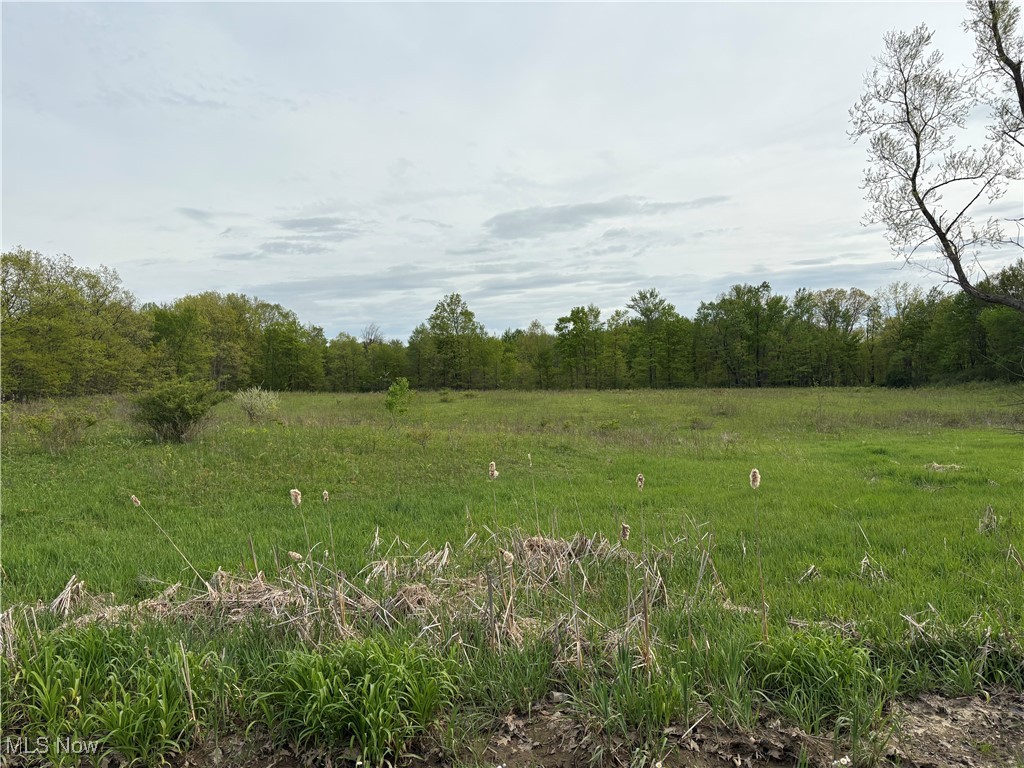 Connecticut Western Reserve - Land