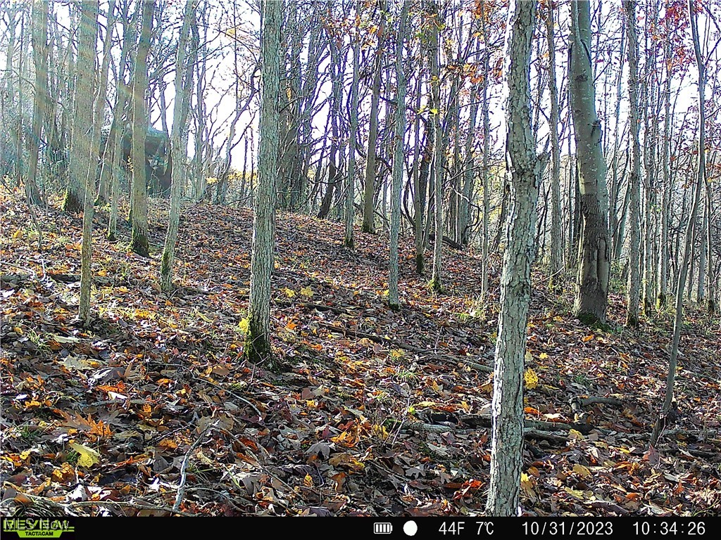 Connecticut Western Reserve - Land