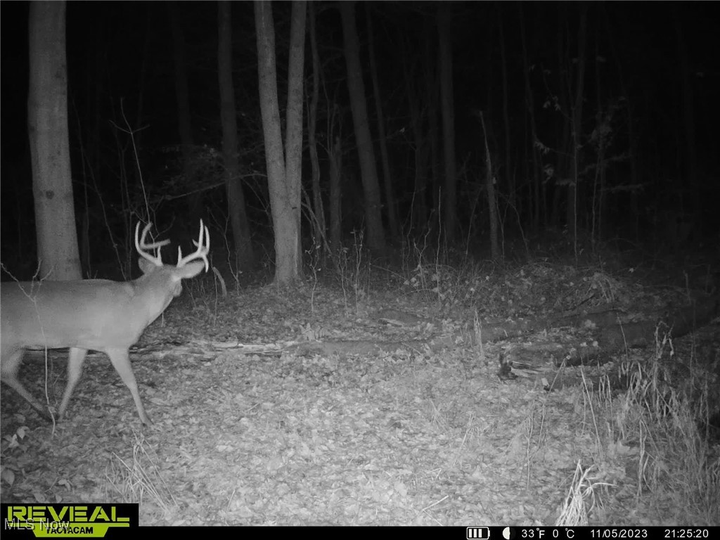 Connecticut Western Reserve - Land