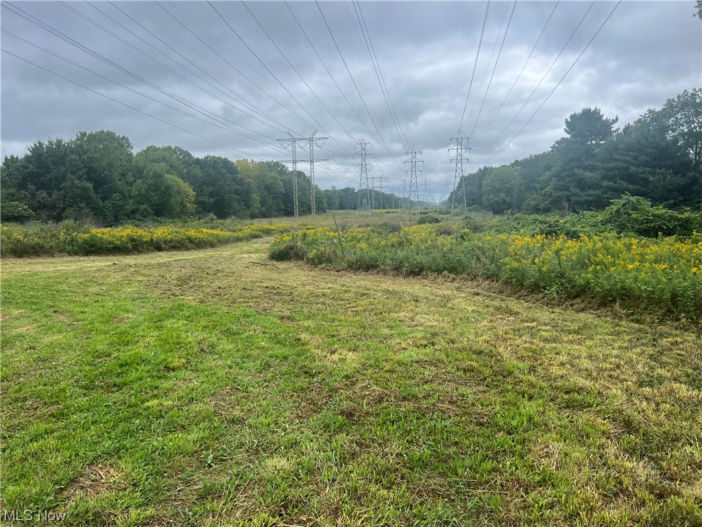 Chestnut Ridge Road, North Ridgeville, Ohio image 1