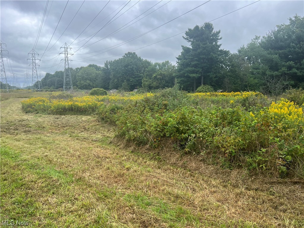 Chestnut Ridge Road, North Ridgeville, Ohio image 4