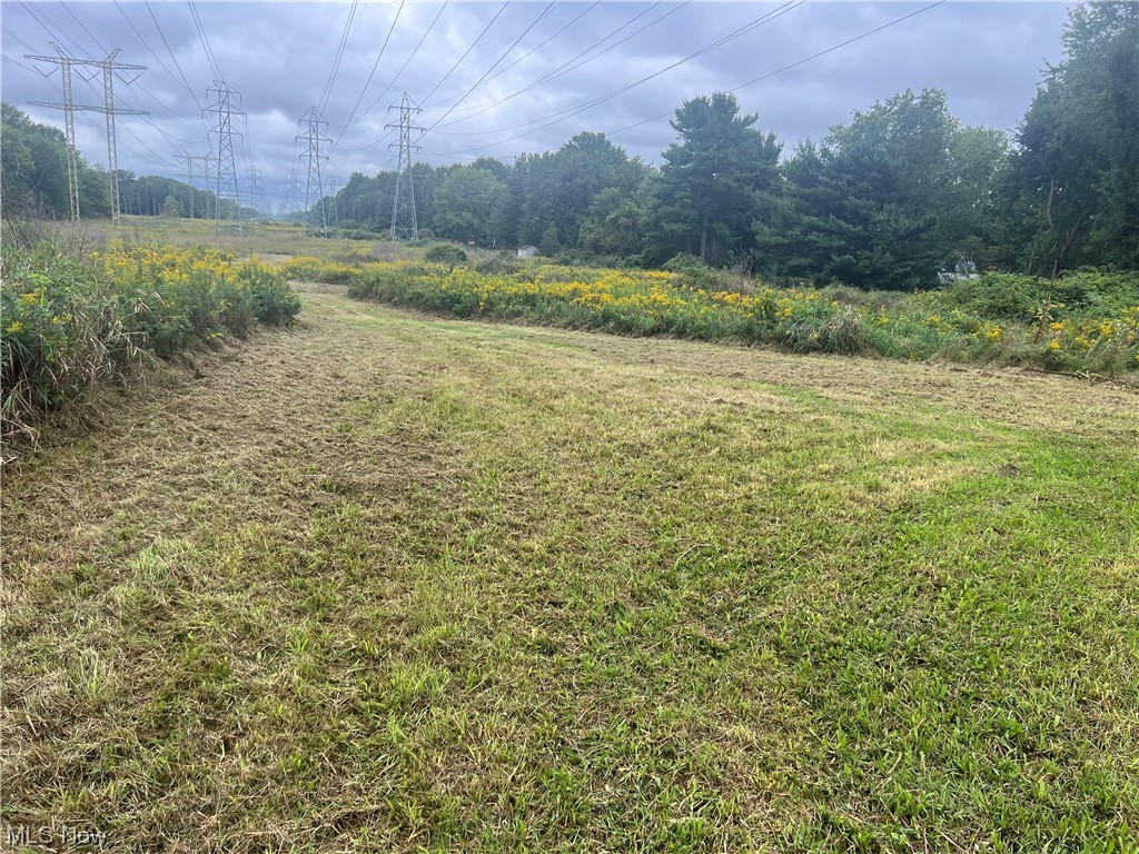 Chestnut Ridge Road, North Ridgeville, Ohio image 3