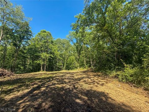 Vacant Land For Sale - St Rt 555<br/> Morgan County, Chesterhill, OH 43728