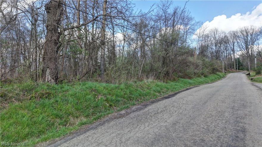 Conveniently located just minutes from Canton, this wooded tract of land offers numerous possibilities. Whether you are looking for a place to build your new home or investing in real estate, come check this one out! Please contact listing agent before walking the property.