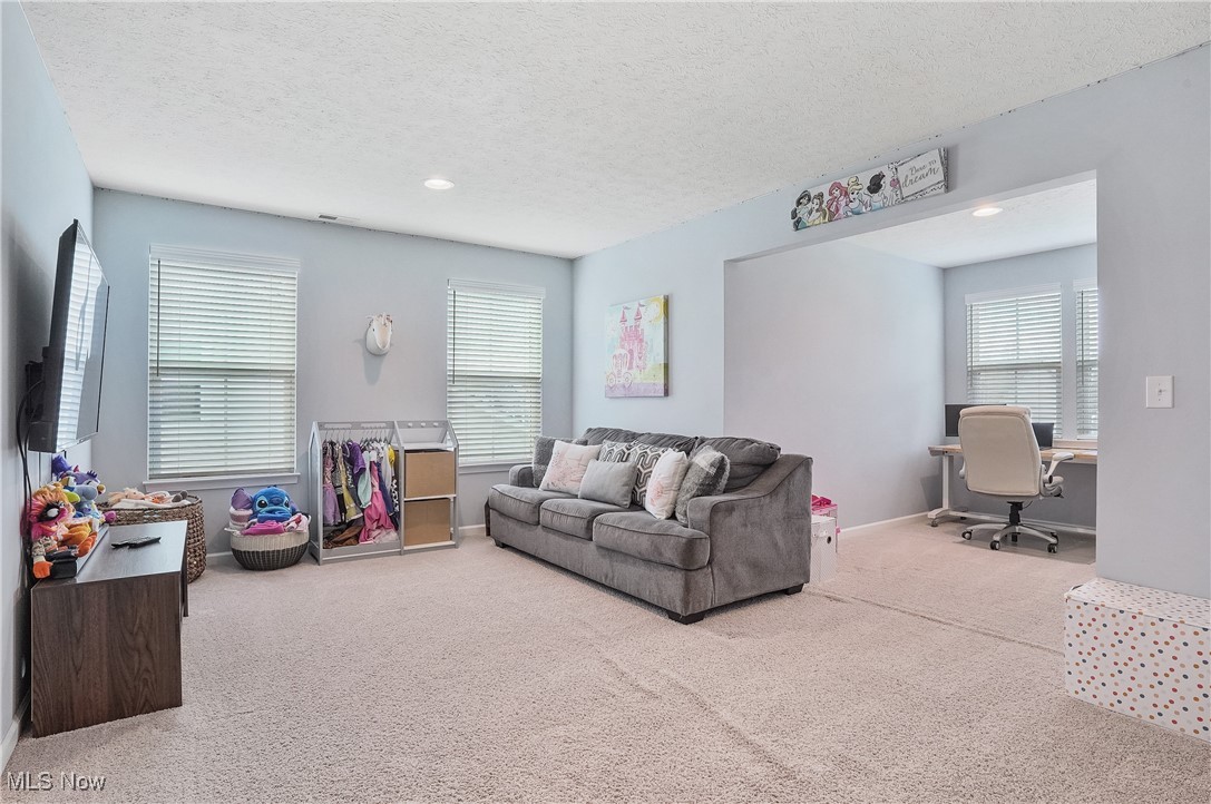 7936 Megan Meadow Drive, Hudson, Ohio image 29