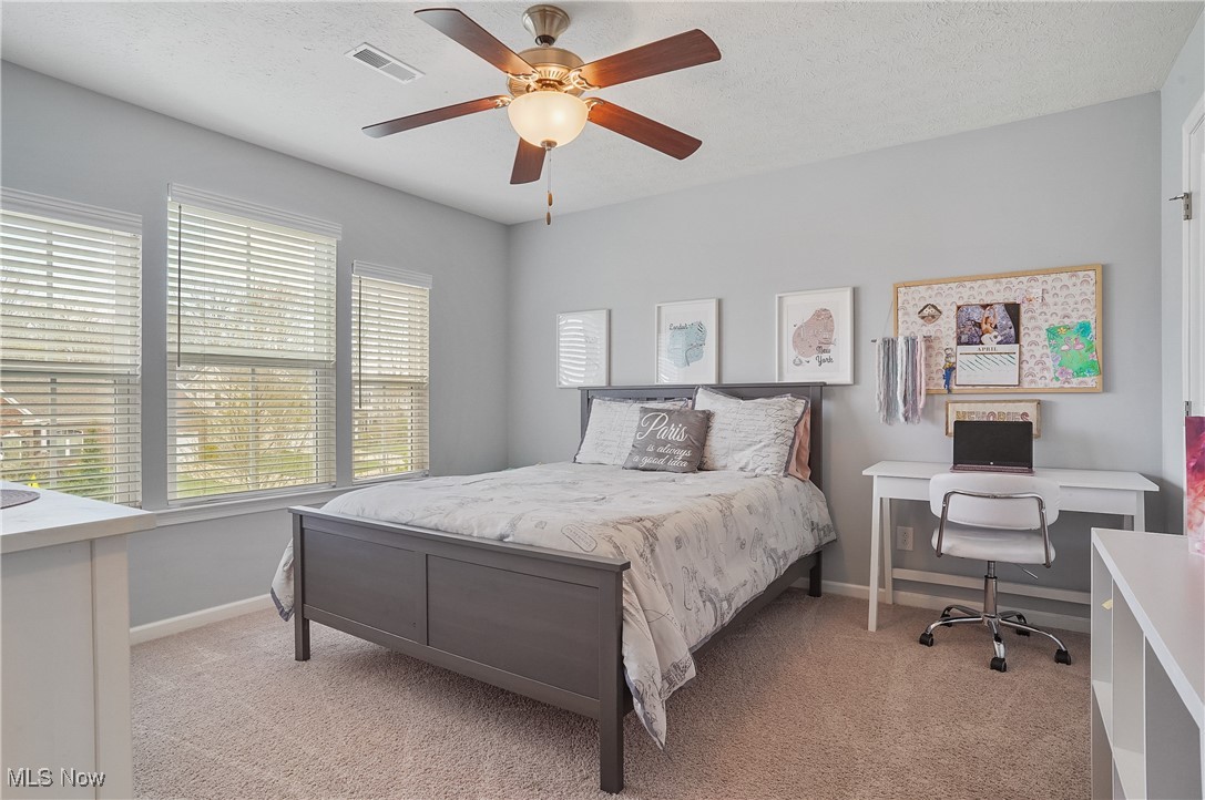 7936 Megan Meadow Drive, Hudson, Ohio image 21