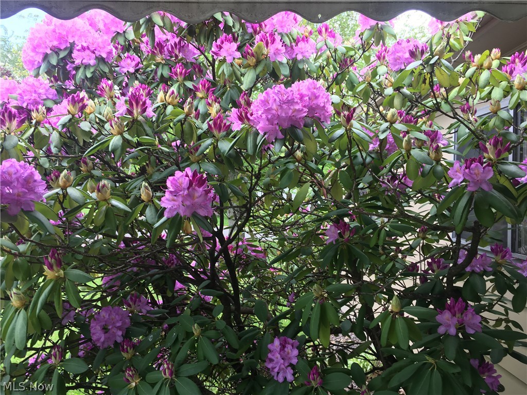 Johnson Heights - Residential