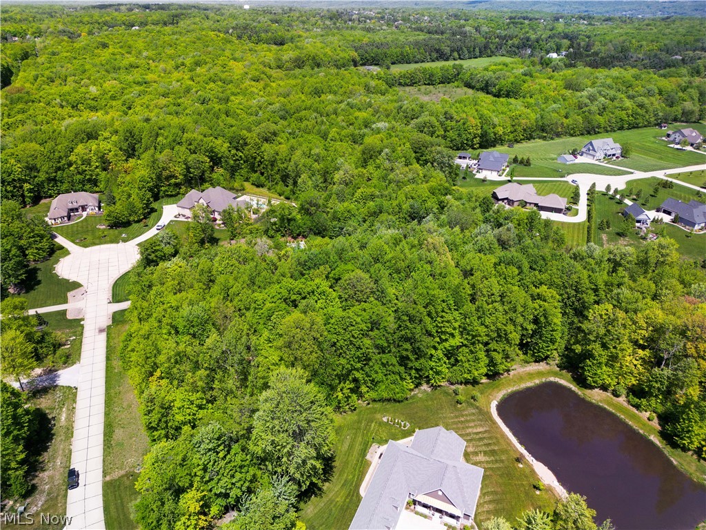 Tamarind Meadows - Land