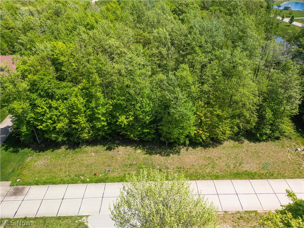 Tamarind Meadows - Land